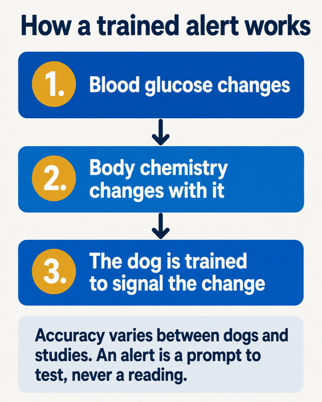 Infographic showing the three steps of a trained diabetic alert, with a caveat that accuracy varies between dogs and studies and that an alert is a prompt to test rather than a reading.