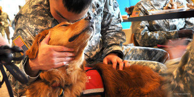 Hero Dogs Inc. logo